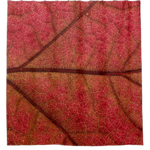 Red leaf in close up photography
