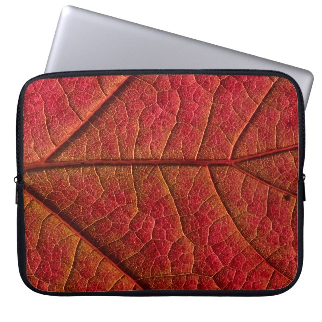 Red leaf laptop sleeve (Front)
