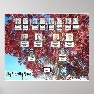 Red Leaf Photo Family Tree with Photos Poster