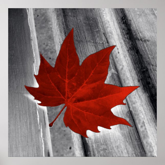 red leaf poster (Front)