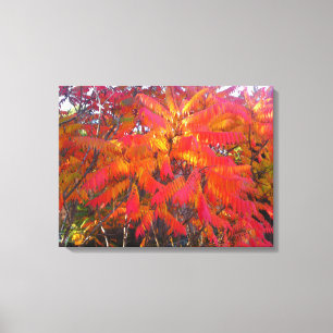 Red Leaf Tree 3 Canvas Print