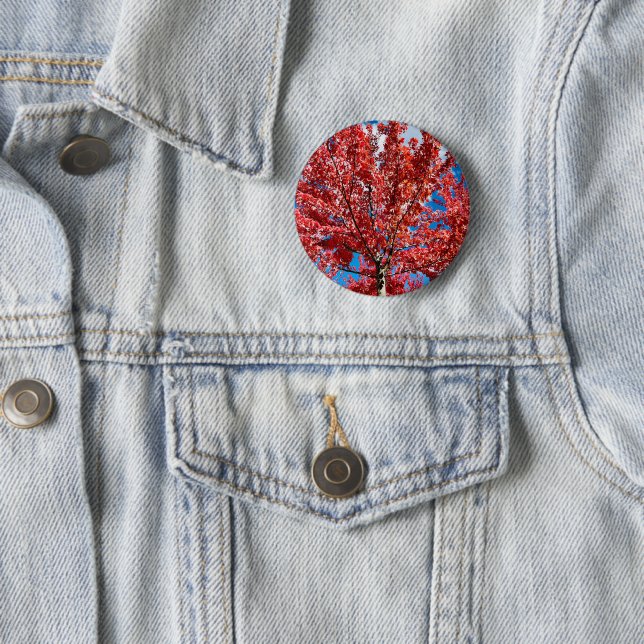 Red Leaf Tree In Fall 2 Inch Round Button (In Situ)