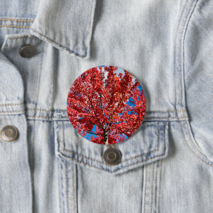 Red Leaf Tree In Fall 3 Inch Round Button