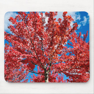 Red Leaf Tree In Fall Mouse Pad
