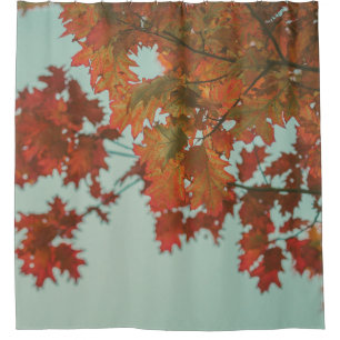 RED-LEAFED TREE