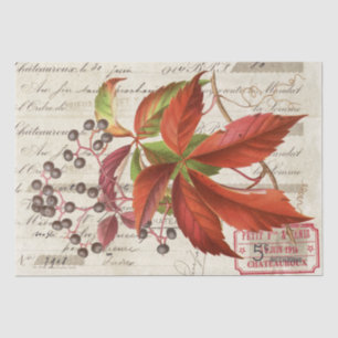 Red Leaves Berries Botanical French Script Craft  Tissue Paper
