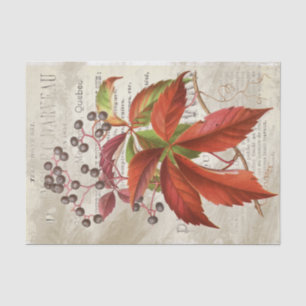 Red Leaves Berries Fall Foliage French Decoupage  Tissue Paper