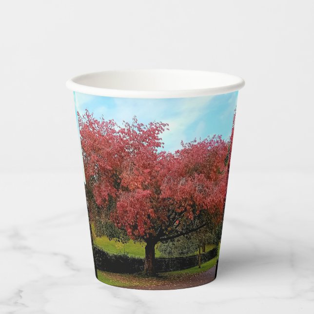 Red leaves paper cups (Front)