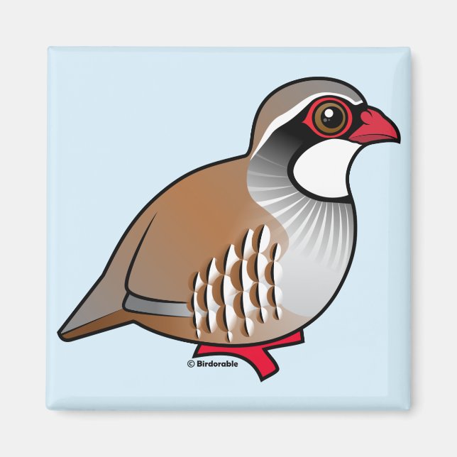 Red-legged Partridge Magnet (Front)