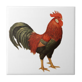 Red Leghorn Rooster Tile