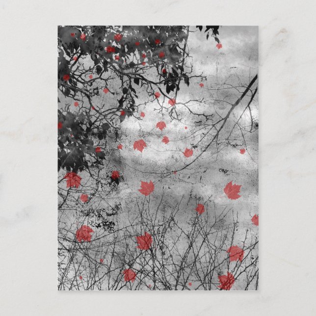 Red Letter Day Wedding Announcement (Front)