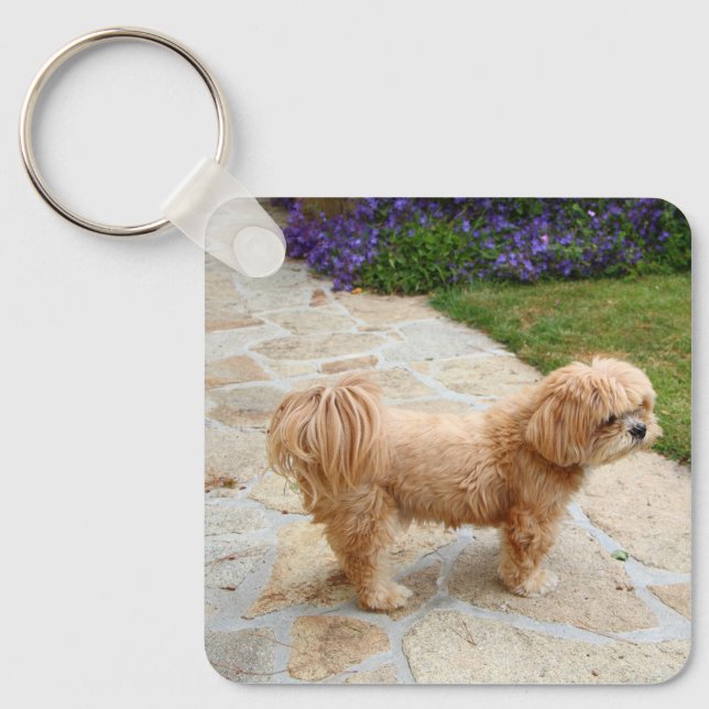 Red Lhasa Apso dog Keychain (Front)