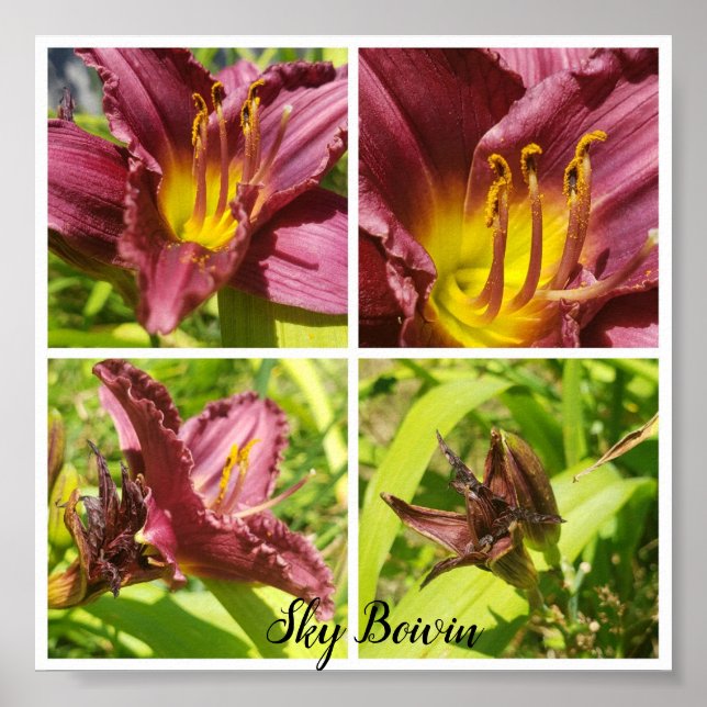 red lilies assortment poster (Front)