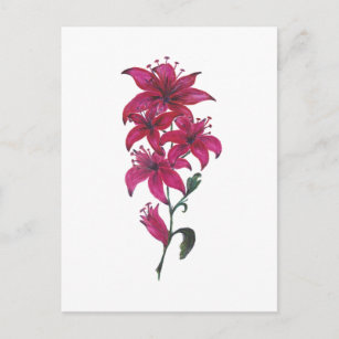 Red Lillies Watercolor Postcard