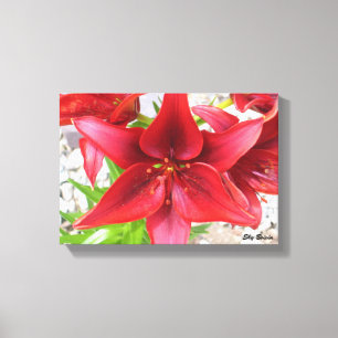 red lily canvas print