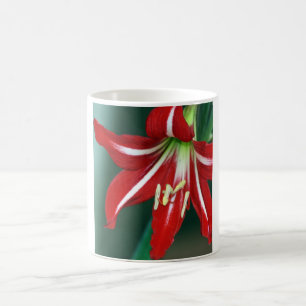 Red Lily Coffee Mug