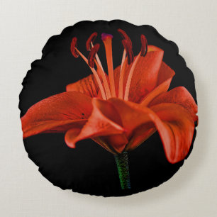 Red Lily On Black Round Pillow