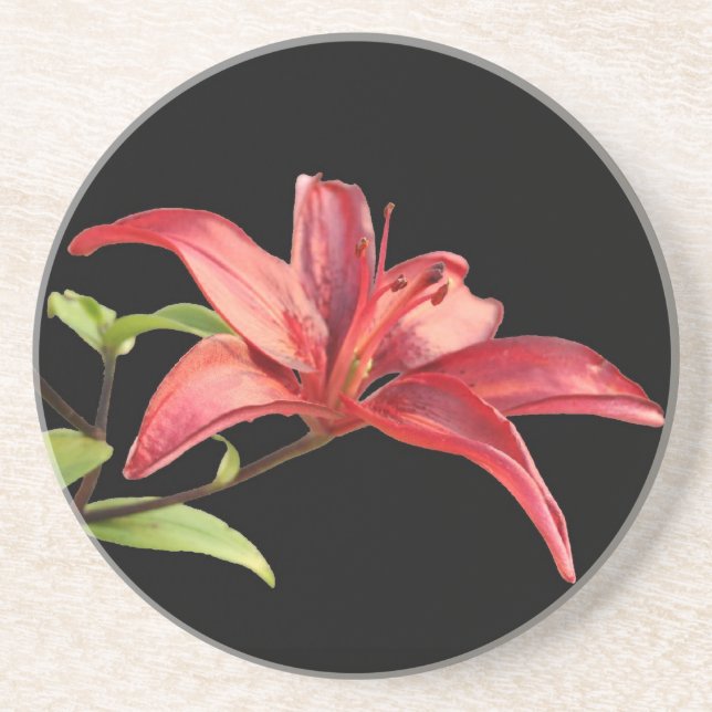 Red Lily Sandstone Coaster (Front)