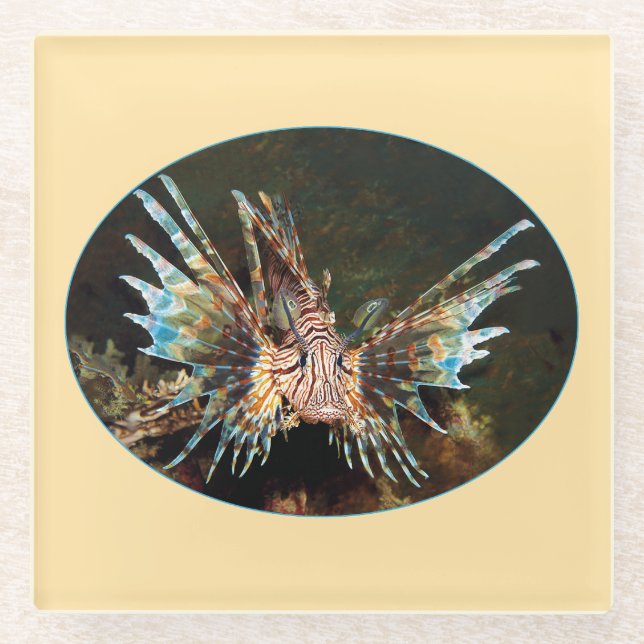 Red Lionfish, Raja Ampat - Photographic design |  Glass Coaster (Front)