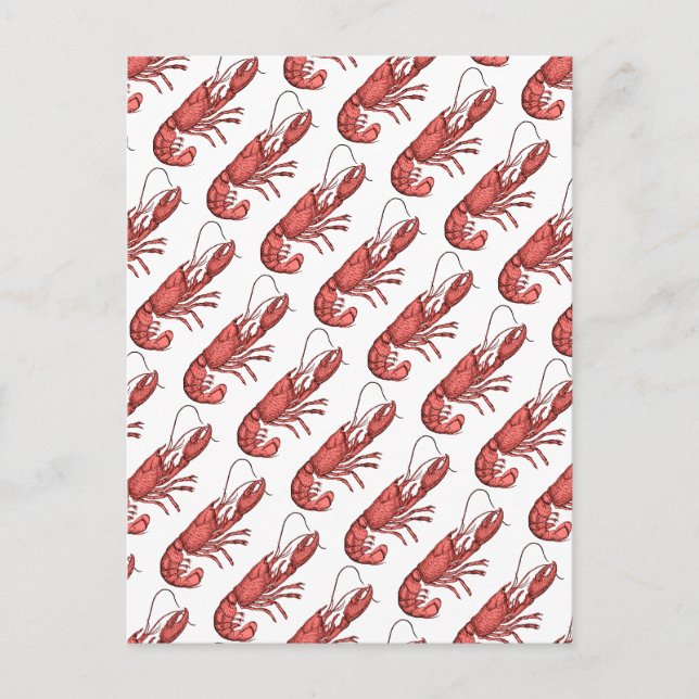 Red Lobster Image Design Postcard (Front)