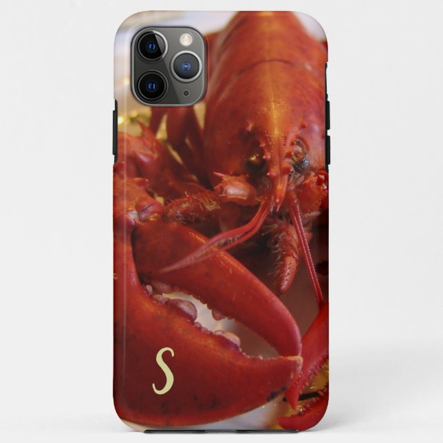 Red Lobster Seafood Crustacean iPhone / iPad case (Back)
