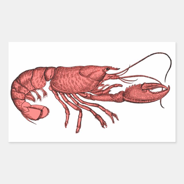 Red Lobster Stickers with Retro Vintage Image (Front)