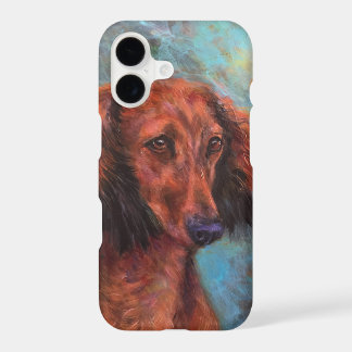 Red long haired dachshund