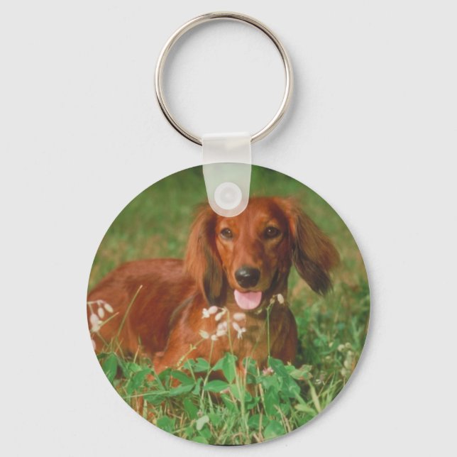 Red Long Haired Dachshund Keychain (Front)