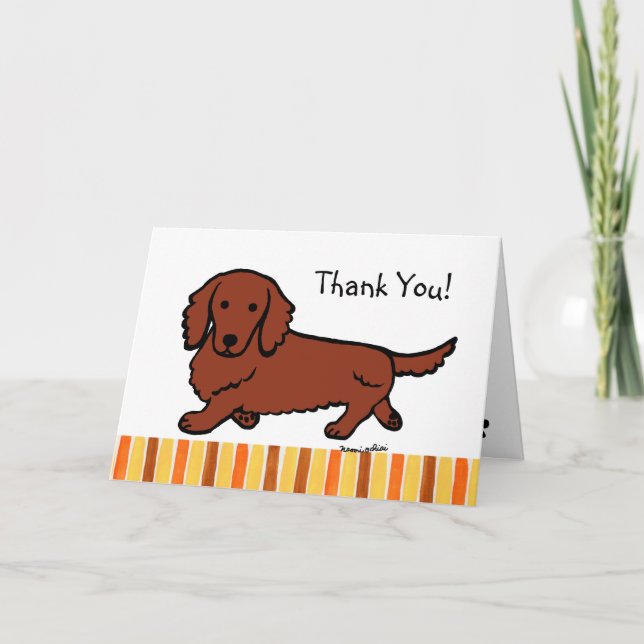 Red Long Haired Dachshund Merci (Devant)