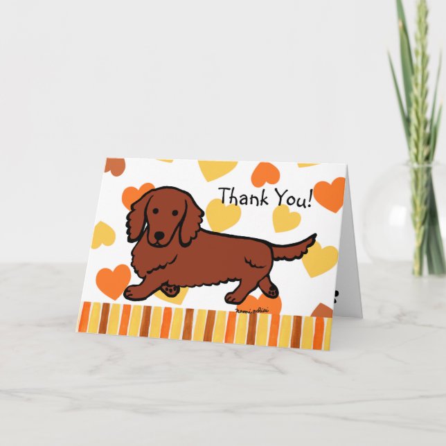 Red Long Haired Dachshund Merci (Devant)