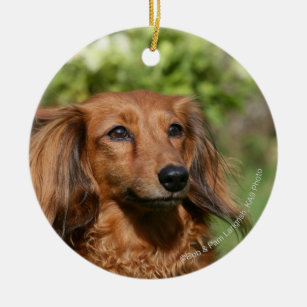 Red Long-haired Miniature Dachshund Ceramic Ornament