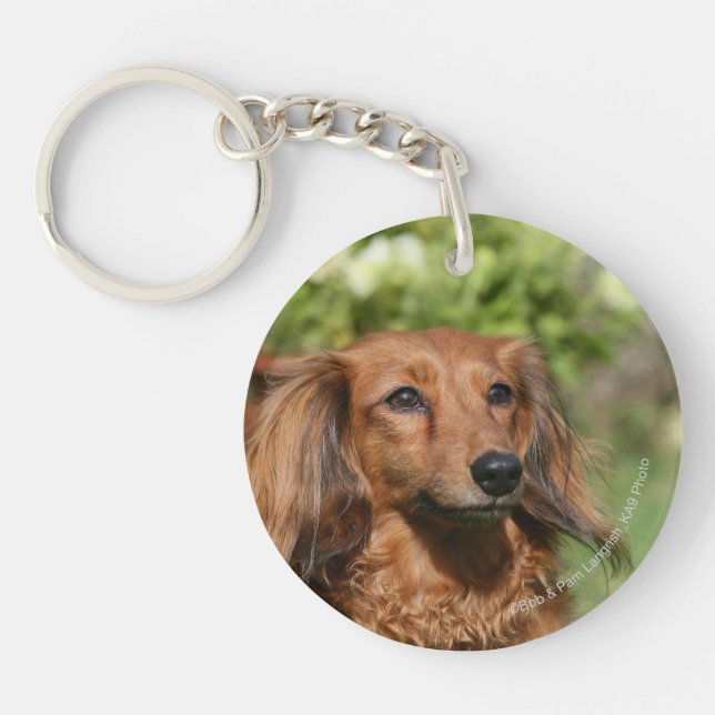 Red Long-haired Miniature Dachshund Keychain (Front)