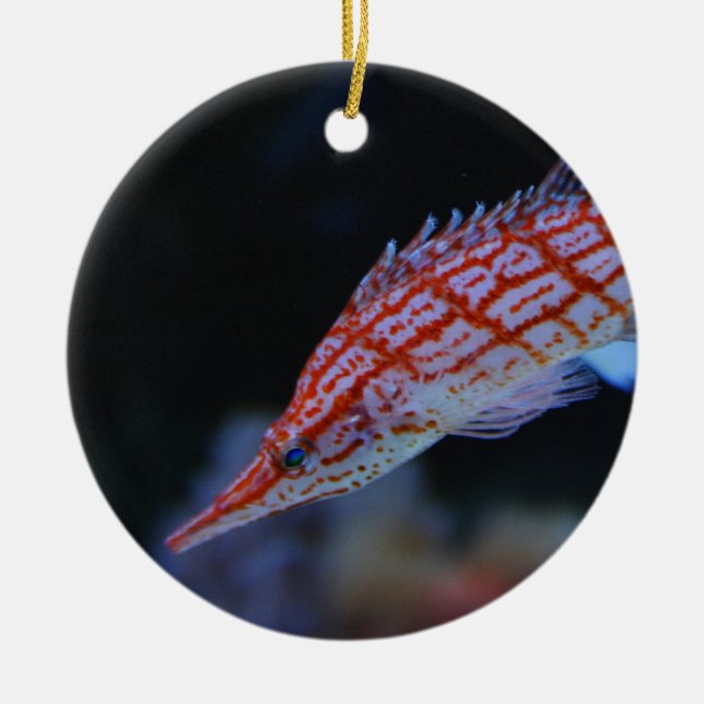 Red Longnose Hawkfish Ceramic Ornament (Front)