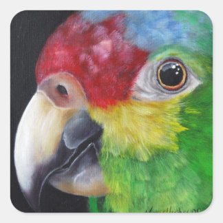 Red Lored Amazon Parrot Sticker