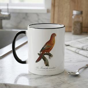 Red Lory or Eos Bornea, Trichoglossus borneus Magic Mug