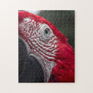 Red Macaw - Puzzle photo HD