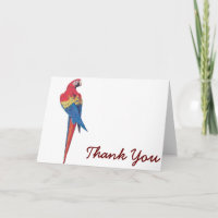 Red Macaw