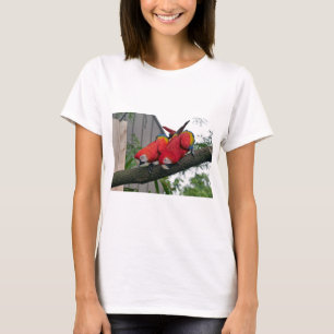 Red Macaws 2.JPG T-Shirt