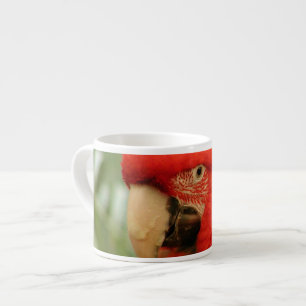 Red Mackaw parrot Espresso Cup