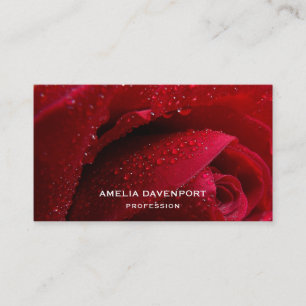 Red Macro Rose with Water Droplets Business Card