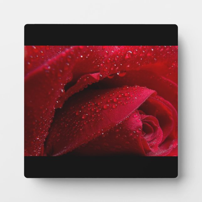 Red Macro Rose with Water Droplets Plaque (Front)