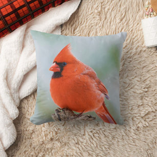 Red Male Cardinal Bird in Snow Nature Photo Throw Pillow