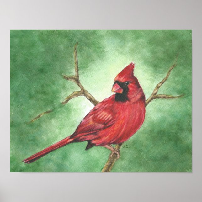Red Male Cardinal in Tree Poster (Front)