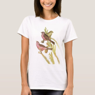 Red-mantled Rosefinch T-Shirt