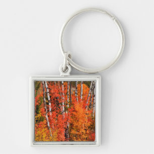 Red Maple (Acer Rubra) And Aspens Keychain