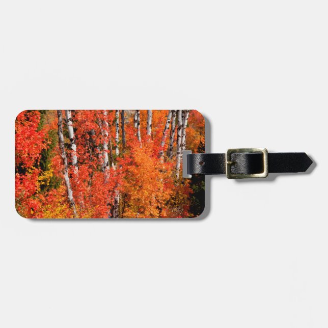 Red Maple (Acer Rubra) And Aspens Luggage Tag (Front Horizontal)