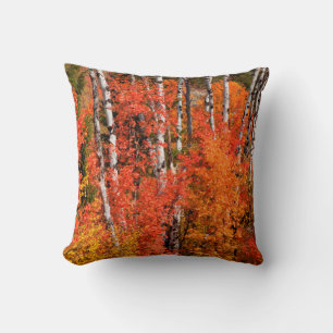 Red Maple (Acer Rubra) And Aspens Throw Pillow