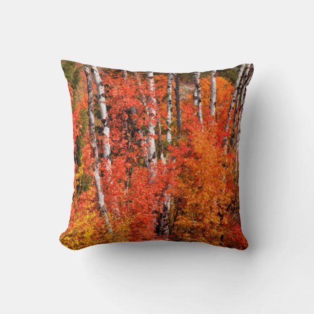 Red Maple (Acer Rubra) And Aspens Throw Pillow (Front)