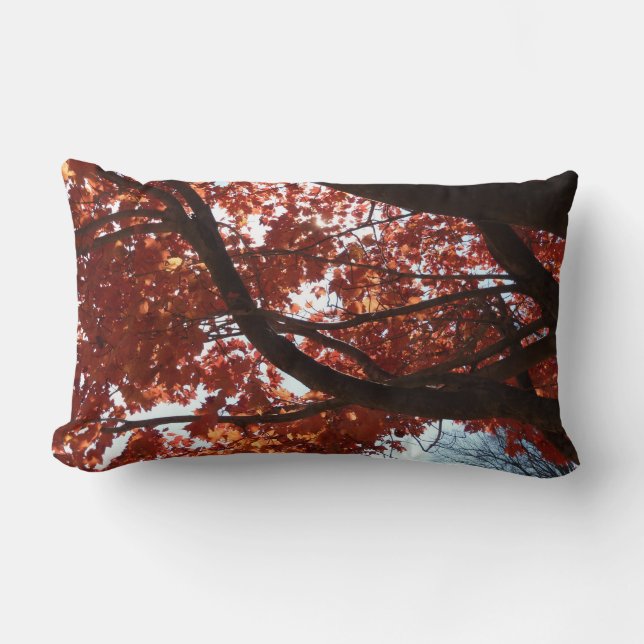 Red Maple Branches Autumn Colours Lumbar Pillow (Front)