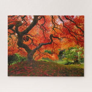 Red Maple in Autumn at Portland Japanese Garden Jigsaw Puzzle